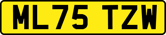 ML75TZW
