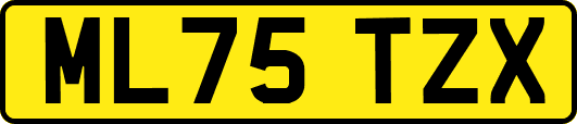 ML75TZX