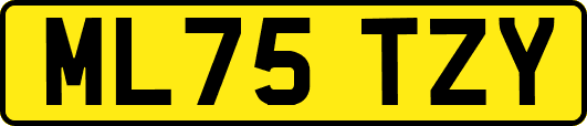 ML75TZY