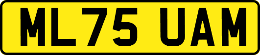 ML75UAM