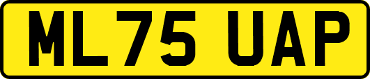 ML75UAP