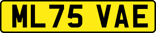 ML75VAE