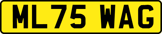 ML75WAG