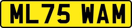 ML75WAM