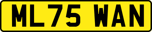 ML75WAN