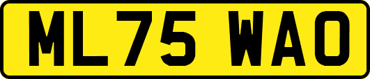 ML75WAO