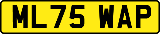 ML75WAP