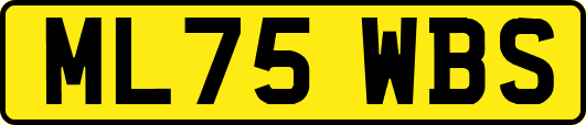 ML75WBS