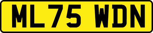 ML75WDN
