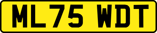 ML75WDT