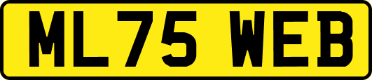 ML75WEB