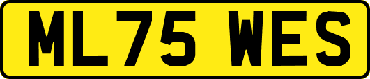 ML75WES