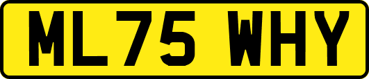 ML75WHY