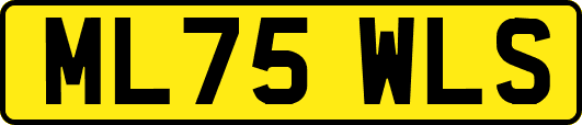 ML75WLS