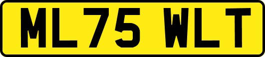 ML75WLT