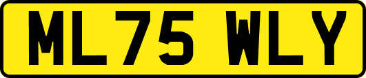 ML75WLY