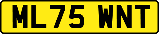 ML75WNT
