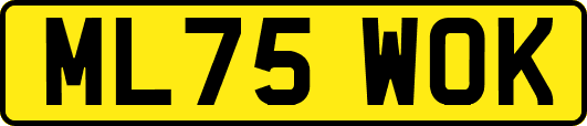 ML75WOK