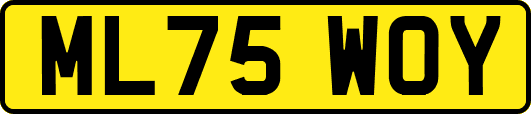 ML75WOY