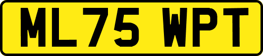 ML75WPT