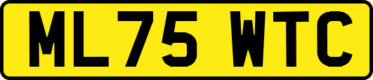ML75WTC
