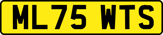 ML75WTS