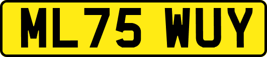 ML75WUY