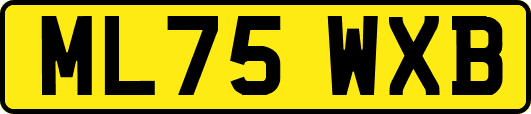 ML75WXB