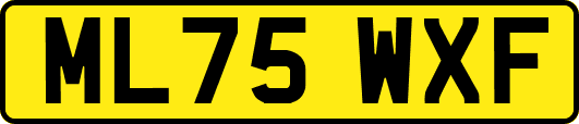 ML75WXF