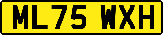 ML75WXH