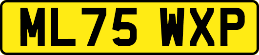ML75WXP