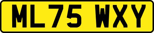 ML75WXY