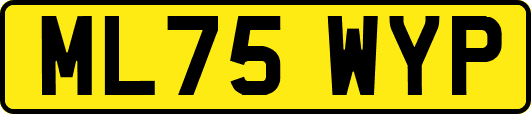 ML75WYP
