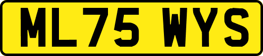 ML75WYS