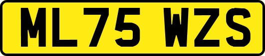 ML75WZS