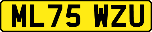 ML75WZU