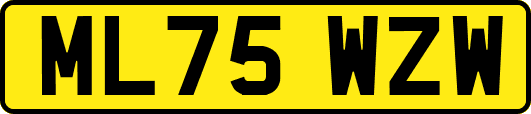 ML75WZW