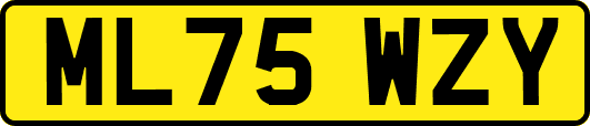 ML75WZY