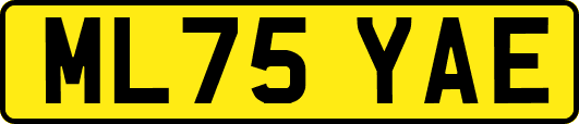 ML75YAE