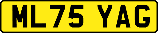 ML75YAG