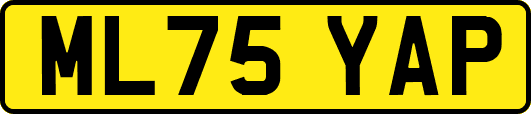 ML75YAP
