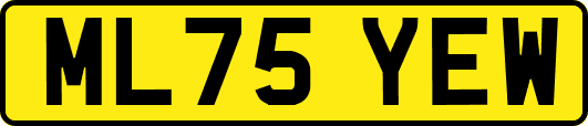 ML75YEW