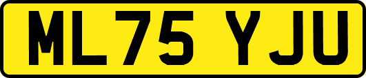 ML75YJU