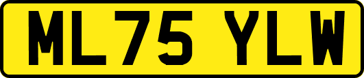 ML75YLW