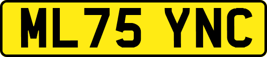 ML75YNC