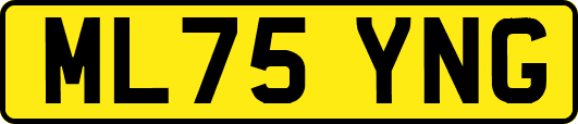 ML75YNG