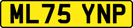 ML75YNP