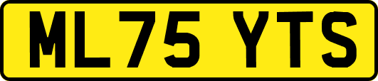 ML75YTS