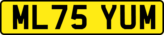 ML75YUM