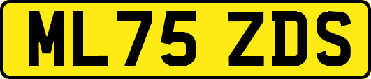 ML75ZDS